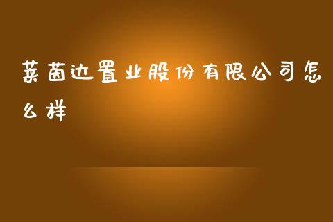 莱茵达置业股份有限公司怎么样_https://wap.yjjixie.cn_商业资讯_第1张