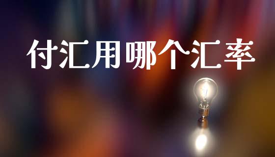付汇用哪个汇率_https://wap.yjjixie.cn_保险理财_第1张