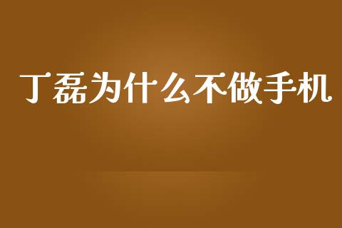 丁磊为什么不做手机_https://wap.yjjixie.cn_港股行情_第1张