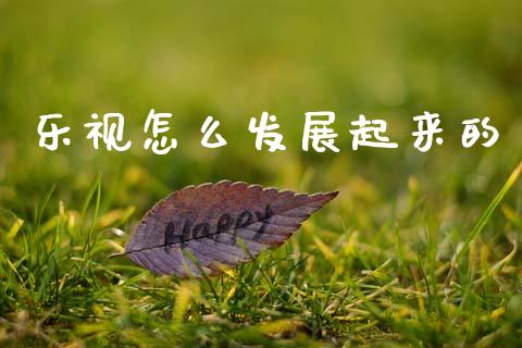 乐视怎么发展起来的_https://wap.yjjixie.cn_港股行情_第1张