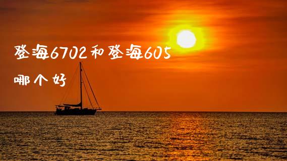 登海6702和登海605哪个好_https://wap.yjjixie.cn_保险理财_第1张