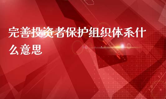 完善投资者保护组织体系什么意思_https://wap.yjjixie.cn_港股行情_第1张