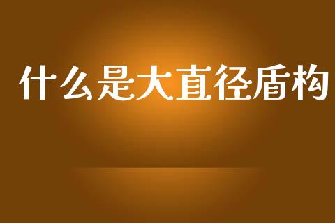 什么是大直径盾构_https://wap.yjjixie.cn_证券市场_第1张