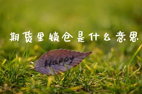期货里锁仓是什么意思_https://wap.yjjixie.cn_商业资讯_第1张