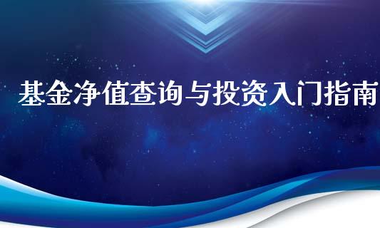 基金净值查询与投资入门指南_https://wap.yjjixie.cn_保险理财_第1张