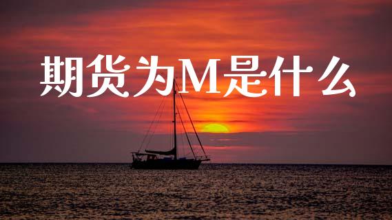 期货为M是什么_https://wap.yjjixie.cn_保险理财_第1张