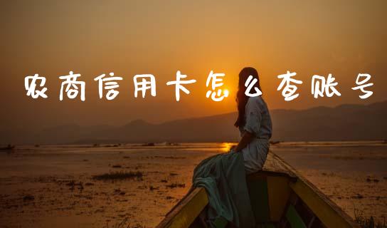 农商信用卡怎么查账号_https://wap.yjjixie.cn_商业资讯_第1张