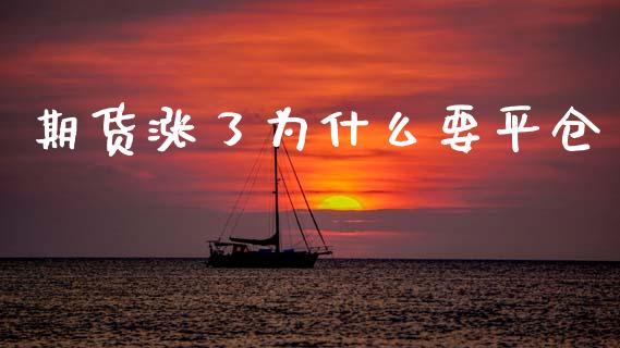 期货涨了为什么要平仓_https://wap.yjjixie.cn_保险理财_第1张
