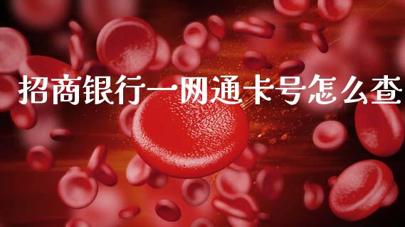 招商银行一网通卡号怎么查_https://wap.yjjixie.cn_保险理财_第1张