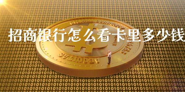 招商银行怎么看卡里多少钱_https://wap.yjjixie.cn_证券市场_第1张