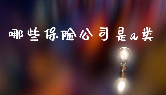哪些保险公司是a类_https://wap.yjjixie.cn_保险理财_第1张