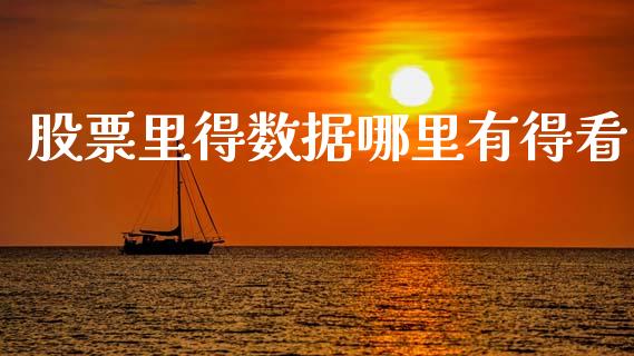 股票里得数据哪里有得看_https://wap.yjjixie.cn_保险理财_第1张