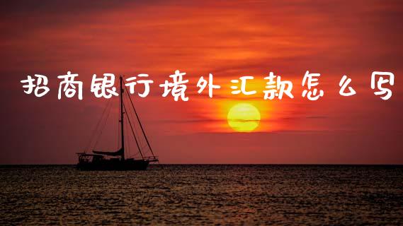 招商银行境外汇款怎么写_https://wap.yjjixie.cn_保险理财_第1张