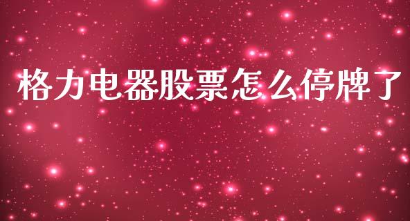格力电器股票怎么停牌了_https://wap.yjjixie.cn_商业资讯_第1张