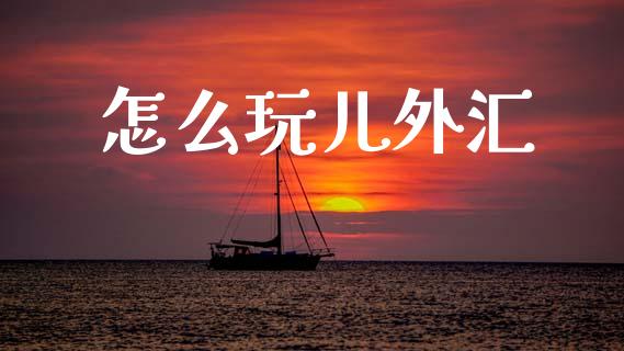 怎么玩儿外汇_https://wap.yjjixie.cn_商业资讯_第1张