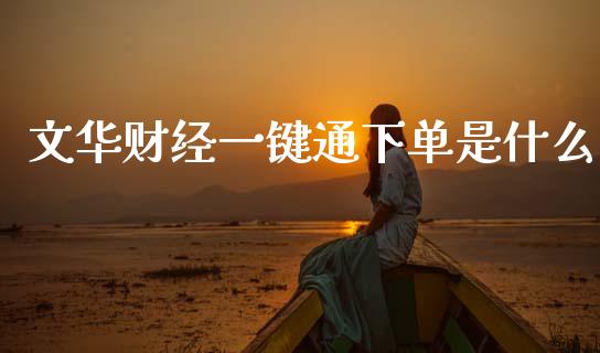 文华财经一键通下单是什么_https://wap.yjjixie.cn_证券市场_第1张