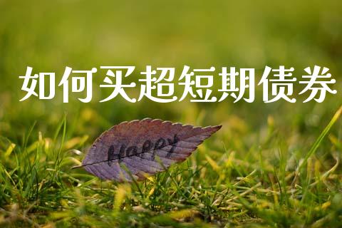 如何买超短期债券_https://wap.yjjixie.cn_证券市场_第1张