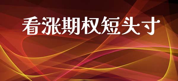 看涨期权短头寸_https://wap.yjjixie.cn_保险理财_第1张