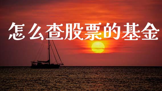 怎么查股票的基金_https://wap.yjjixie.cn_证券市场_第1张