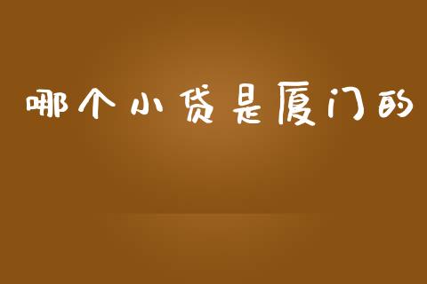 哪个小贷是厦门的_https://wap.yjjixie.cn_证券市场_第1张