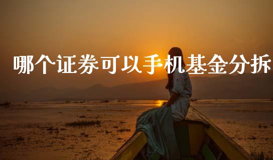 哪个证券可以手机基金分拆_https://wap.yjjixie.cn_商业资讯_第1张