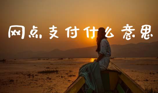 网点支付什么意思_https://wap.yjjixie.cn_保险理财_第1张