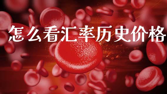 怎么看汇率历史价格_https://wap.yjjixie.cn_保险理财_第1张