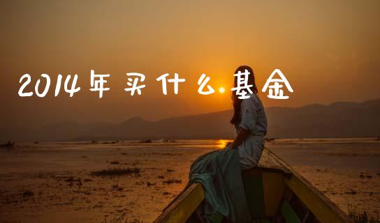 2014年买什么基金_https://wap.yjjixie.cn_港股行情_第1张