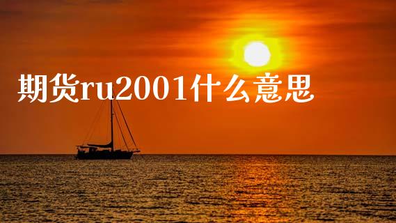 期货ru2001什么意思_https://wap.yjjixie.cn_保险理财_第1张