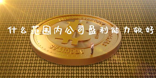 什么范围内公司盈利能力较好_https://wap.yjjixie.cn_证券市场_第1张