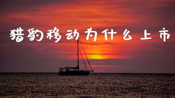 猎豹移动为什么上市_https://wap.yjjixie.cn_证券市场_第1张