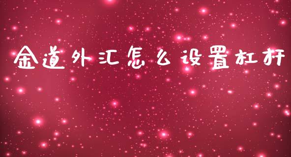 金道外汇怎么设置杠杆_https://wap.yjjixie.cn_港股行情_第1张