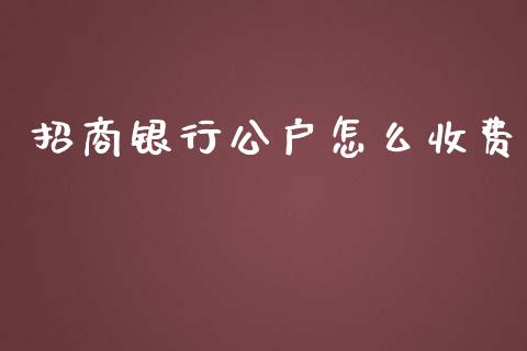 招商银行公户怎么收费_https://wap.yjjixie.cn_保险理财_第1张