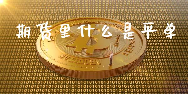 期货里什么是平单_https://wap.yjjixie.cn_保险理财_第1张