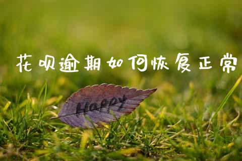 花呗逾期如何恢复正常_https://wap.yjjixie.cn_商业资讯_第1张