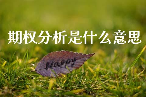 期权分析是什么意思_https://wap.yjjixie.cn_商业资讯_第1张