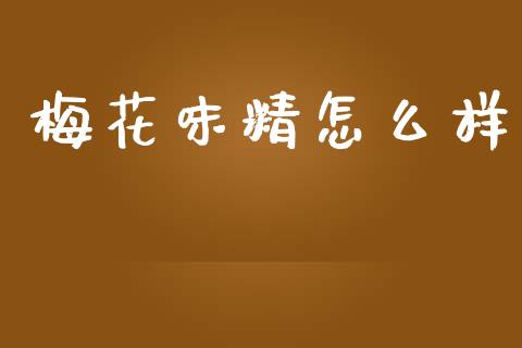 梅花味精怎么样_https://wap.yjjixie.cn_商业资讯_第1张