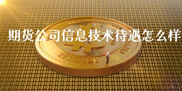 期货公司信息技术待遇怎么样_https://wap.yjjixie.cn_港股行情_第1张