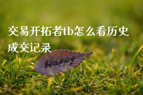 交易开拓者tb怎么看历史成交记录_https://wap.yjjixie.cn_港股行情_第1张