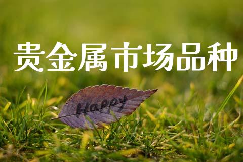 贵金属市场品种_https://wap.yjjixie.cn_商业资讯_第1张