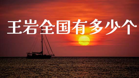 王岩全国有多少个_https://wap.yjjixie.cn_商业资讯_第1张