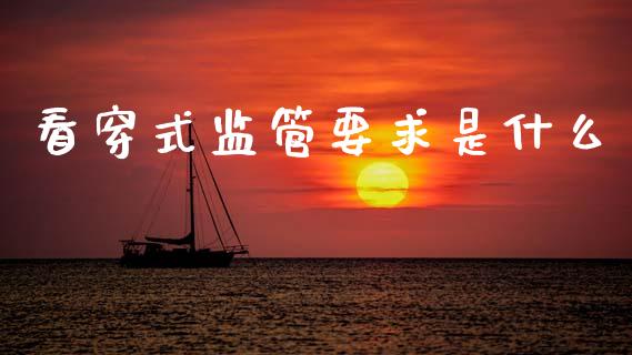 看穿式监管要求是什么_https://wap.yjjixie.cn_港股行情_第1张