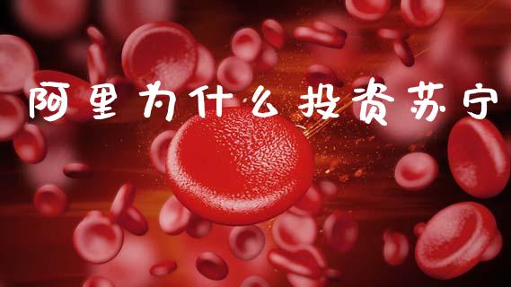 阿里为什么投资苏宁_https://wap.yjjixie.cn_商业资讯_第1张
