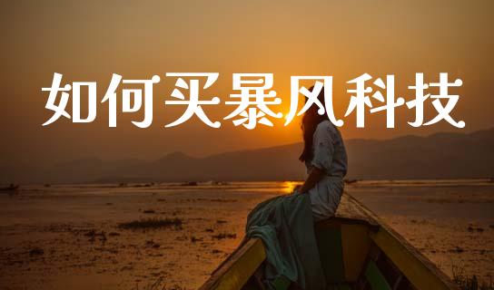 如何买暴风科技_https://wap.yjjixie.cn_港股行情_第1张