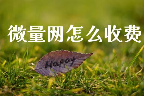 微量网怎么收费_https://wap.yjjixie.cn_港股行情_第1张