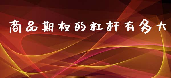 商品期权的杠杆有多大_https://wap.yjjixie.cn_证券市场_第1张