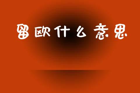留欧什么意思_https://wap.yjjixie.cn_港股行情_第1张