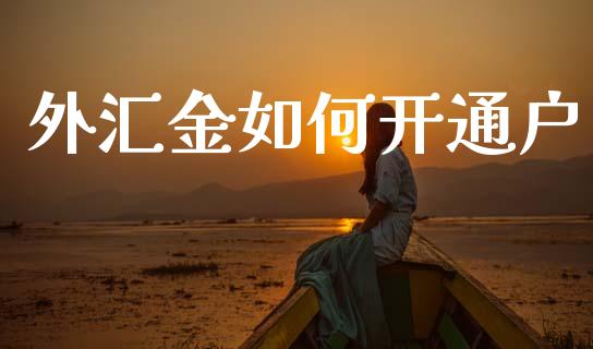 外汇金如何开通户_https://wap.yjjixie.cn_商业资讯_第1张