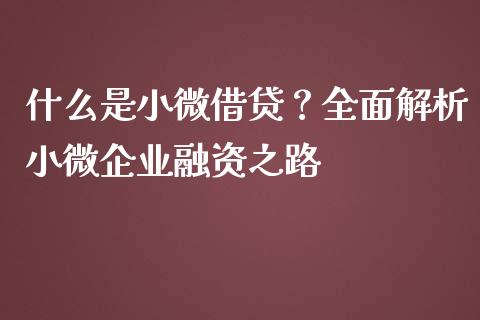 什么是小微借贷？全面解析小微企业融资之路_https://wap.yjjixie.cn_商业资讯_第1张