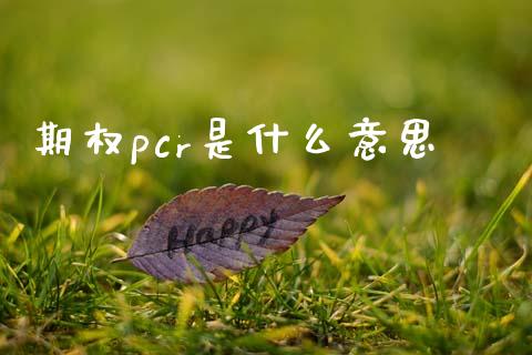 期权pcr是什么意思_https://wap.yjjixie.cn_证券市场_第1张